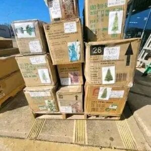 Buy Christmas Trees Online